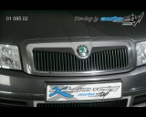 koda Superb - Lita masky - pro lak 3/02 - 8/06 (Autostyl Janko)