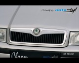 koda Octavia 2001 - Lita masky - pro lak (Autostyl Janko)