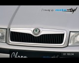 Škoda Octavia 2001 - Lišta masky - chrom (Autostyl Janko)